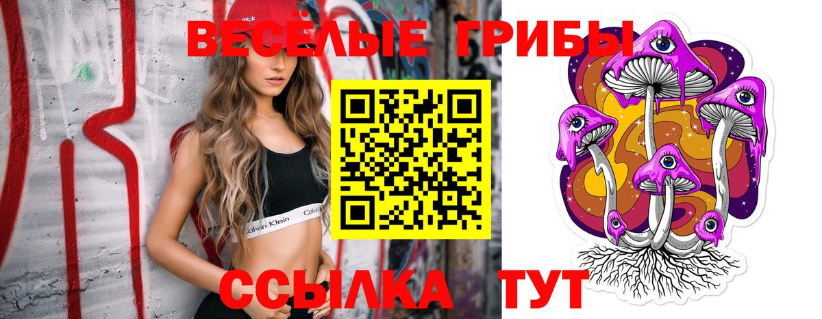 наркошоп  Вход с VPN  Южноуральск  Галлюциногенные грибы Psilocybine cubensis  Галлюциногенные грибы Psilocybe 